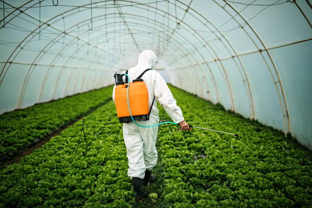Best Best Pest Control Companies  in El Monte, CA