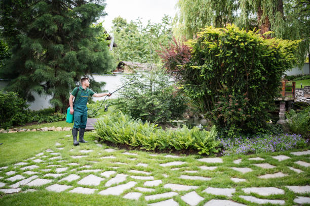 Best Emergency Pest Control  in El Monte, CA