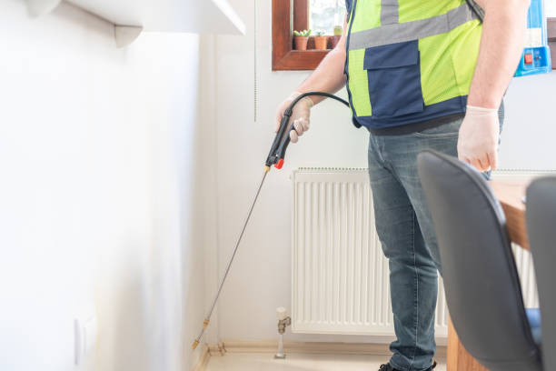 Best Bed Bug Extermination  in El Monte, CA