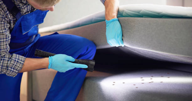 Best Exterminator Services  in El Monte, CA