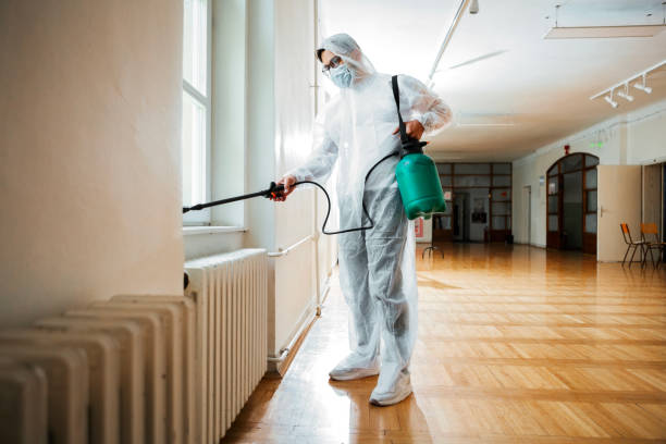 Best Pest Control for Businesses  in El Monte, CA